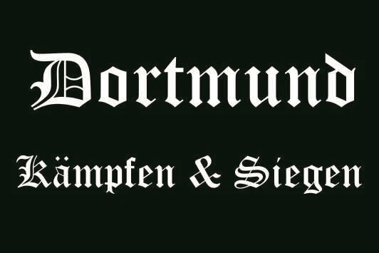KÖNIGSBANNER Flagge Siegen – 20 X 30 Cm, Deutsche Manufaktur, Wetterfest & Lichtecht, Mit Karabinern