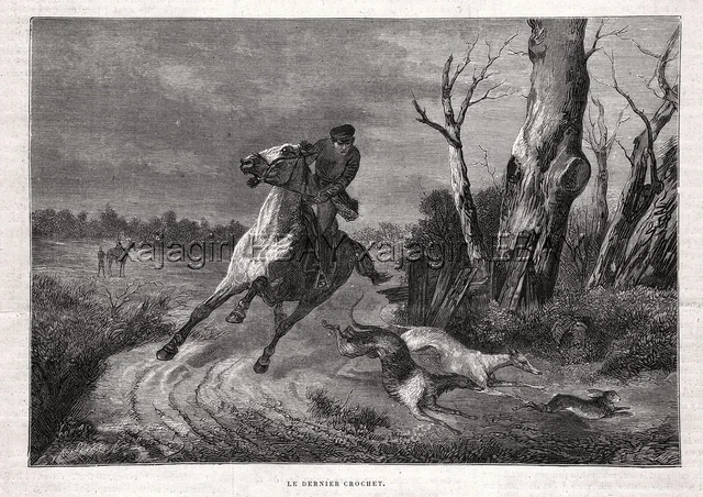 Dog Borzoi & Greyhound Coursing Rabbit Hunting, 1880s Antique Print