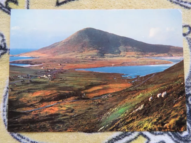 Vintage 1980s Northton, Harris, Outer Hebrides Real Photo Postcard