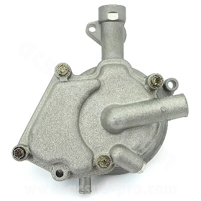 Revisione pompa acqua yamaha yp 125 majesty 125 2001 2002 se061