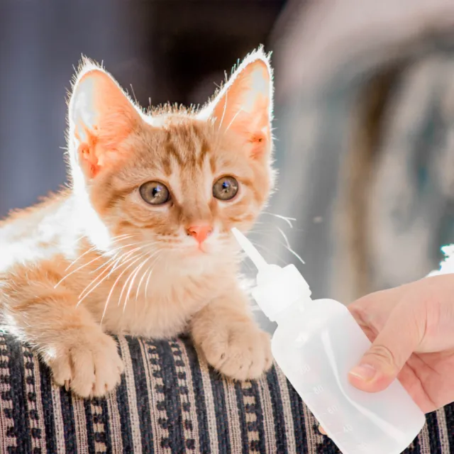 4 piezas biberón de leche de plástico para perros y gatos bebé gatito cachorro contenedor de alimentación para mascotas