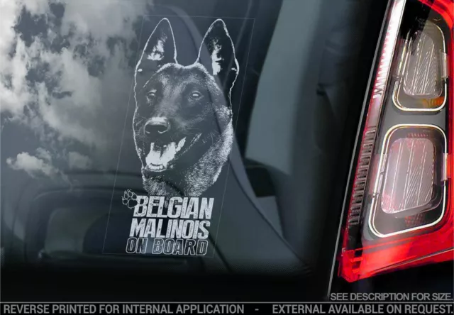 Belgian Malinois Car Sticker - Dog On Board Bumper Window Decal Sign Gift V20