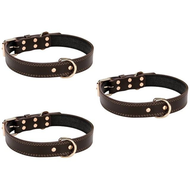 3x Hund Kragen Schnalle Gerollt Hund Kragen Pet Kragen Leder Hund Zu Fuß Kragen