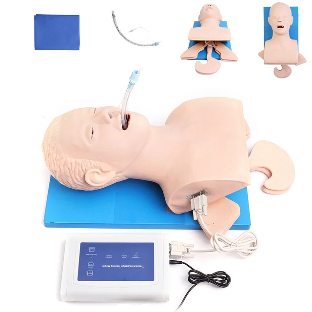 220V Intubation Manikin Study Teaching Model Airway Management PVC Trainer Tool