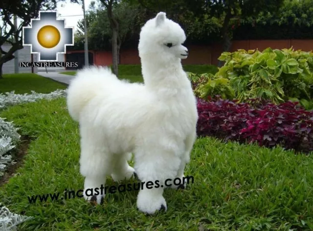 100% Baby Alpaca Fur Long Hair BIG LLAMA 18" inch(Free Shipping Worldwide)