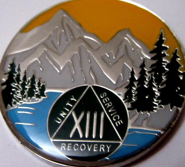 Moneda medallón de plata azul montaña verde Alcohólicos anónimos 13 años AA ficha