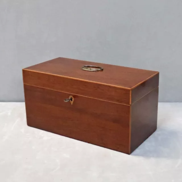 Antique Tea Caddy Box Mahogany William IV Restored