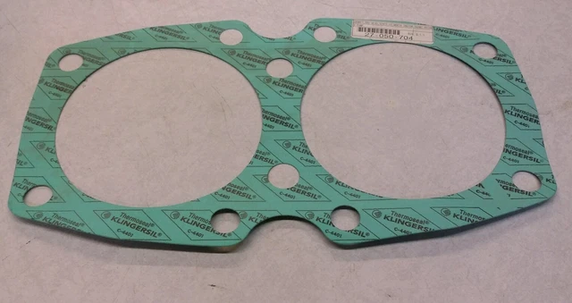 NEW Worthington 5GRMI Rotary Pump Bearing Head Gasket 52972-10