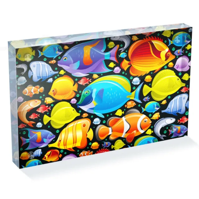 Tropical Fish Variety Photo Block 6 x 4" - Desk Office Art Gift #8333