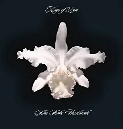 KINGS OF LEON - AHA SHAKE HEARTBREAK - New Vinyl Record - J8200A