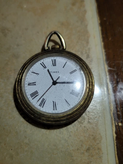 OXFORD Orologio In Titanio E Bianco - Design Classico
