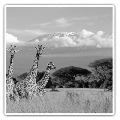 2 x Square Stickers 10 cm - Giraffe Africa Wild Animal Safari  #40843