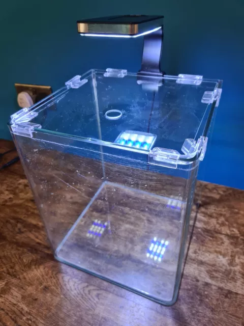 nano aquarium fish tank
