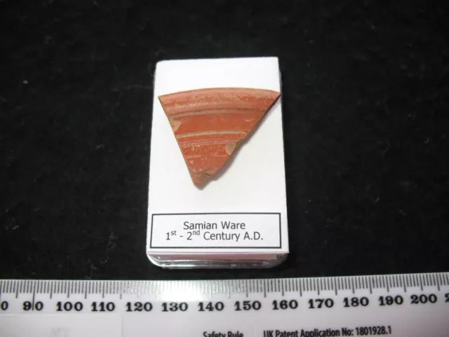 Roman Samian Ware Terra sigillata pottery shard in display case 1st century #5