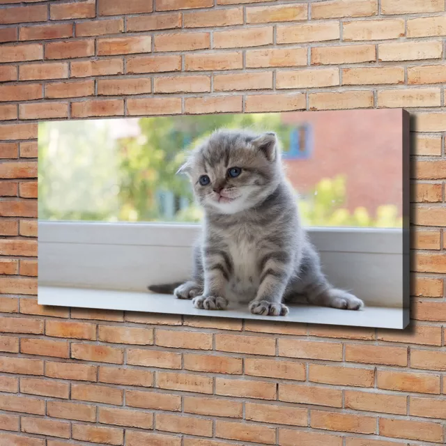 Pintura de La Pared Para Salón Decor 120x60 Un pequeño gato junto a la ventana