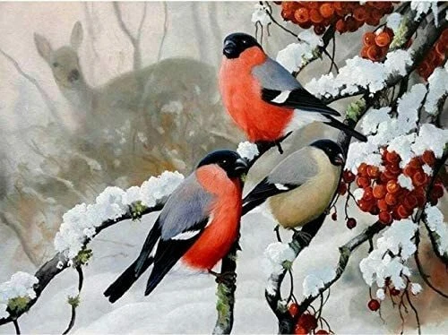 Paint by Numbers for Adults Kids Beginners, DIY Acrylic Oil Painting Kit, Creat