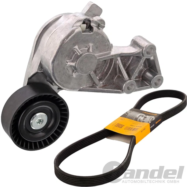 Courroie Conti + Tendeur de Courroie Convient pour Audi A3 Tt VW Golf 4