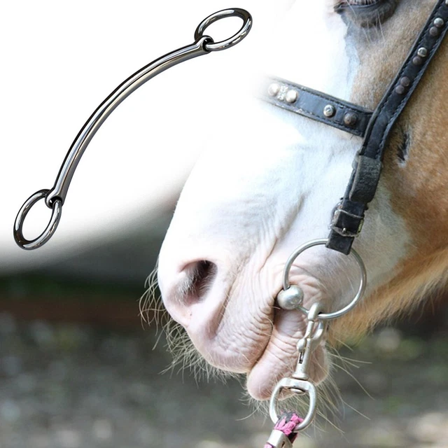 Morsure de cheval en acier inoxydable sans rouille pour un contrôle et une comm