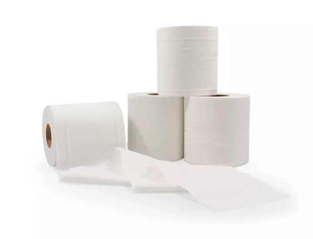 RV 2 Ply Toilet Tissue - 4 Rolls Sewer-Safe, Septic-Safe, Biodegradable