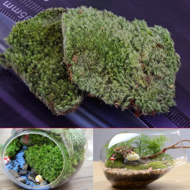 Nuevo 10,5 x 7,5 cm verde artificial musgo artesanal cunas manualidades bolsa musgo musgo decoración musgo