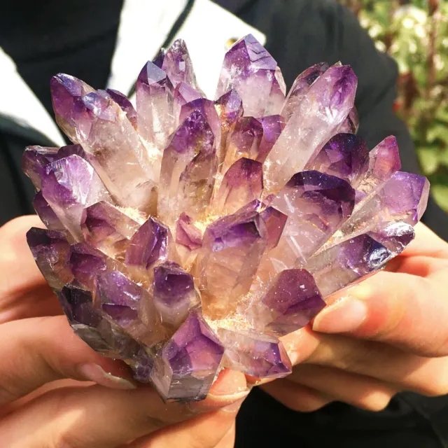 300g+1pc New Find Purple Phantom Quartz Crystal Cluster Mineral Specimen Healing