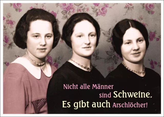 Postkarte Spruch lustig Nicht alle Männder sind Schweine. Es gibt auch Archlö...