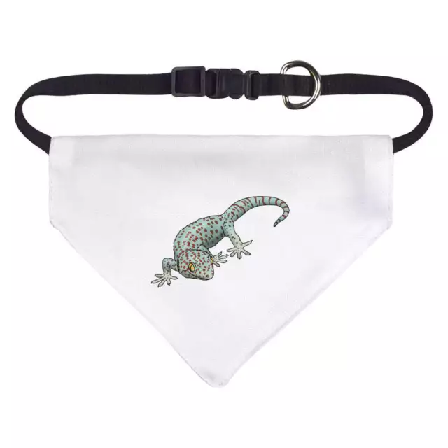 'Tokay Gecko' Dog / Cat / Pet Bandana (PD046401)