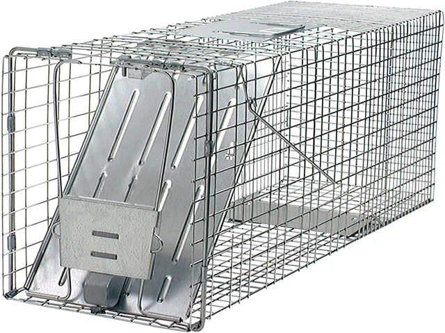 Havahart 1079SR Large 1-Door Humane Catch and Release Live Animal Trap for Racco