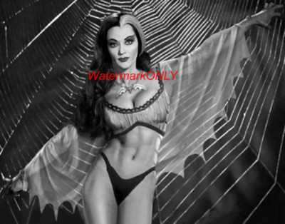 BEAUTIFUL ACTRESS YVONNE De Carlo "The Munsters" "Lily" 60s TV Show