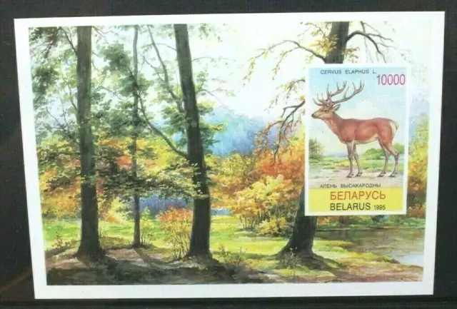 BELARUS 1995 Nature Animals: Red Deer. SOUVENIR SHEET. Mint Never Hinged SGMS131