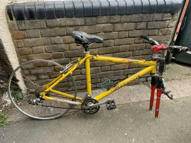 Giant store atx 1200