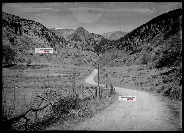 Plaque verre photo ancienne négatif noir et blanc 13x18 cm Hautes-Vosges paysage
