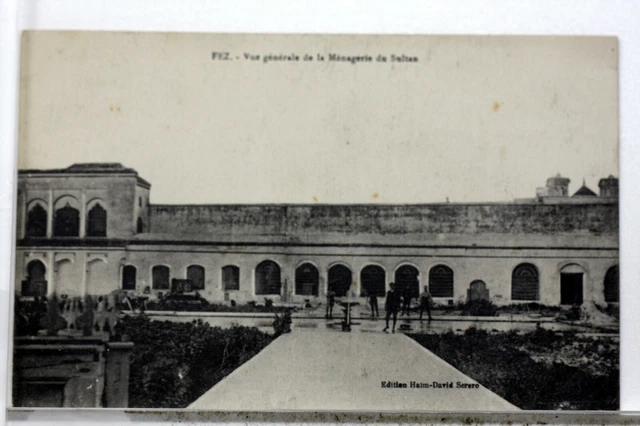 Maroc Fez La Menagerie Du Sultan   Cpa Postcard  8818