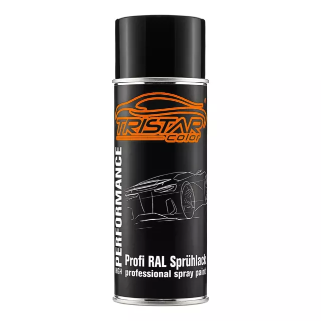 RAL 790 M Dark Grey Metallic Spraydose alle Glanzgrade Varianten
