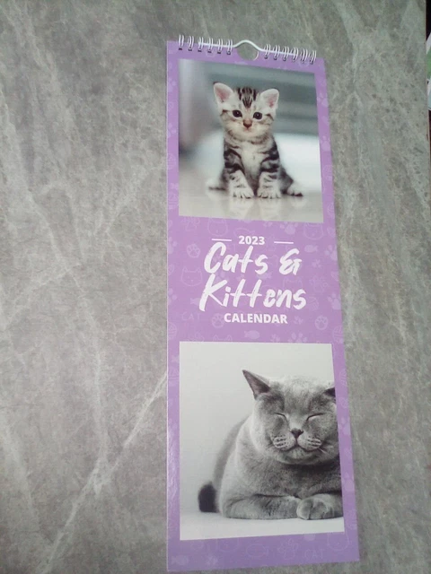 Numero E Calendario Settimane 2023 - Calendari Scolastici - Foto 12