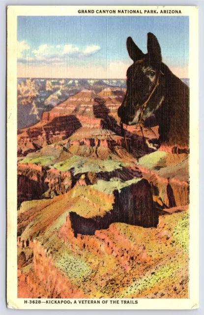 AZ Grand Canyon National Park, Kickapoo Mule Poem Linen Posted 1951 Fred Harvey