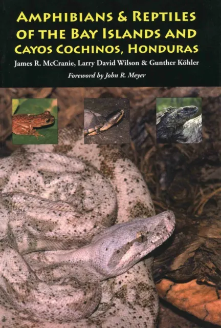 Amphibians Reptiles of the Bay Islands Cayos Cochinos Honduras McCranie Snakes