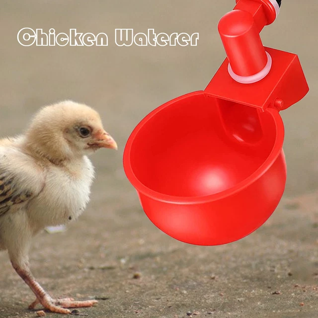 Chicken Waterer Durable Multi-purpose Universal Rounded Edge Chicken Waterer