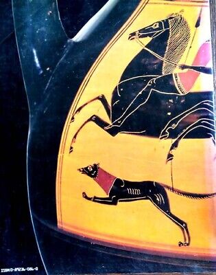 Athens Greece Amasis Painter Attic Black Figure Vases 600BC Amphorae Cups 362pix 2