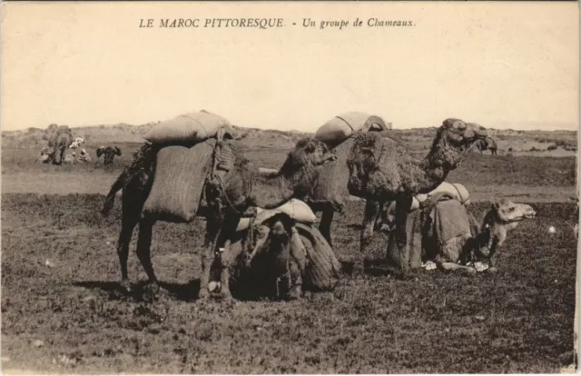 CPA AK MOROCCO A Group of Camels (38770)