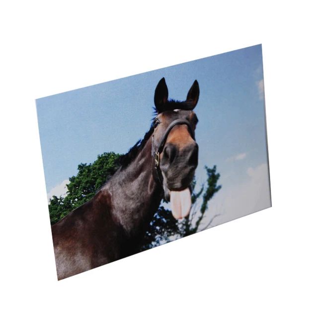 Kevin Milner Countryside Cavallo Divertente Biglietto d'Auguri (BZ4025)
