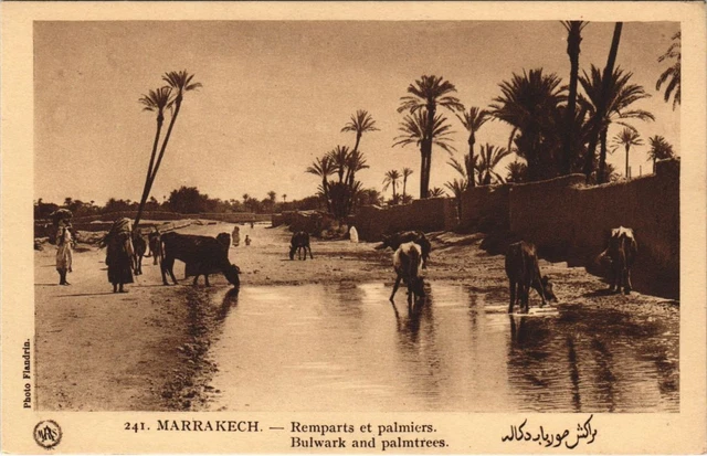 CPA AK MAROC MARRAKECH Remparts et palmiers Flandrin (37946)