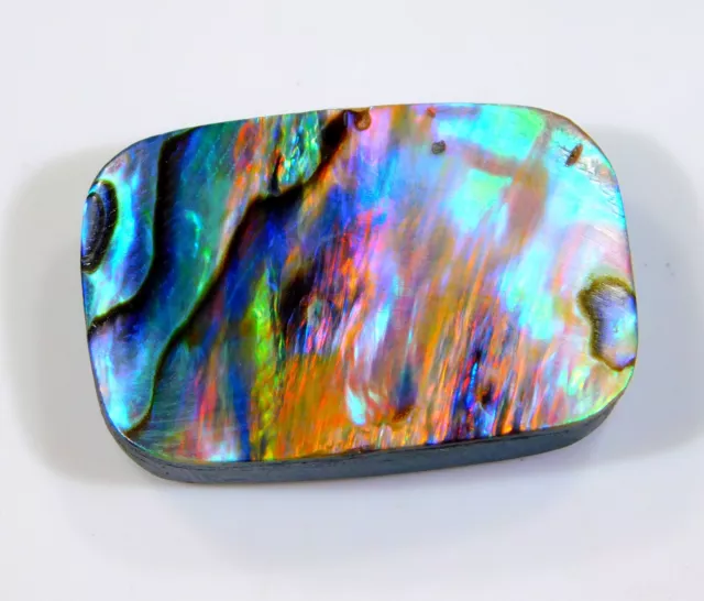 39 CT Superbe Naturel Arc-en-Ciel Feu Abalone Coque Radiant Cabochon Gemme Ch =3