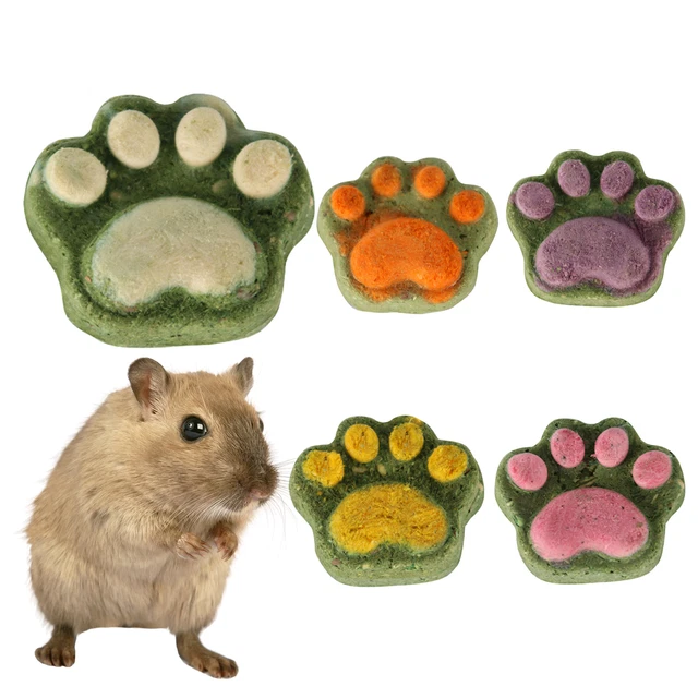 Juguetes para masticar hámster ejercicio sin burlas pequeño soporte para mascotas juguete para masticar saludable