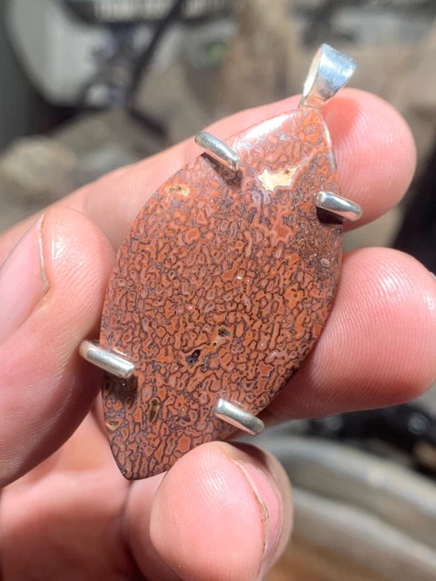 Gorgeous Marqui Utah dino gem bone pendant