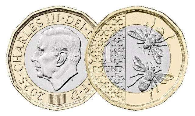 20 X £1 Coins 2025 Bees Rare King Charles III - Sealed Bag £750.00