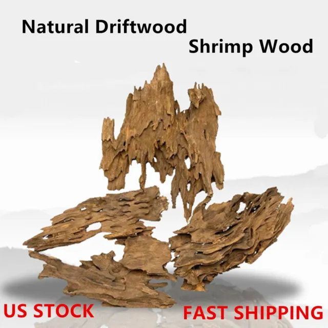 Fish Tank Natural Porous Wood Driftwood Ornament for Aquarium Decor Shrimp Wood