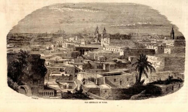 GRAVURE SUR BOIS 19ème VUE GENERALE DE TUNIS TUNISIE