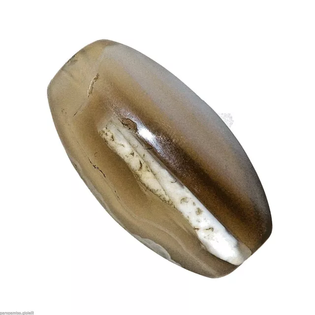 (0620) Bactrian Chalcedony Bead from China-Tibet,   双峰驼玉髓珠