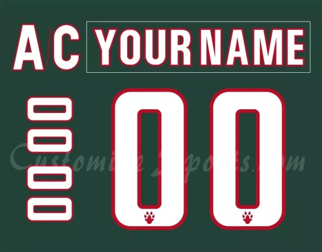 Ak Bars Kazan Russian Customized Number Kit For 2018-Present Green Uniform